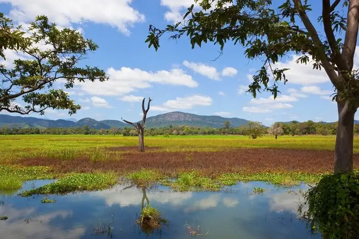 Wasgamuwa National Park